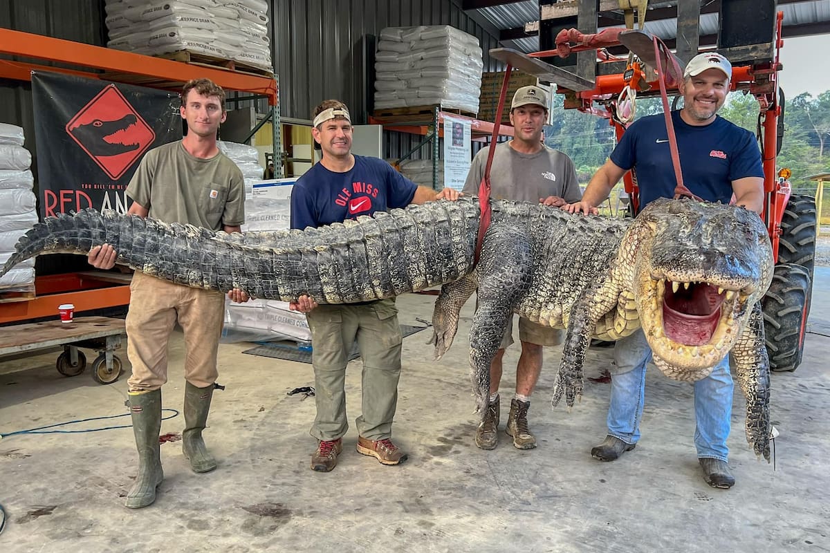 Los cuatro hombres se internaron en el río por la noche para sorprender al enorme animal
