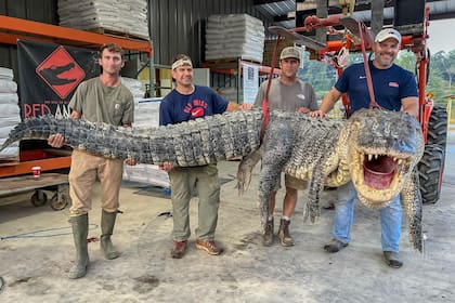 Los cuatro hombres se internaron en el río por la noche para sorprender al enorme animal