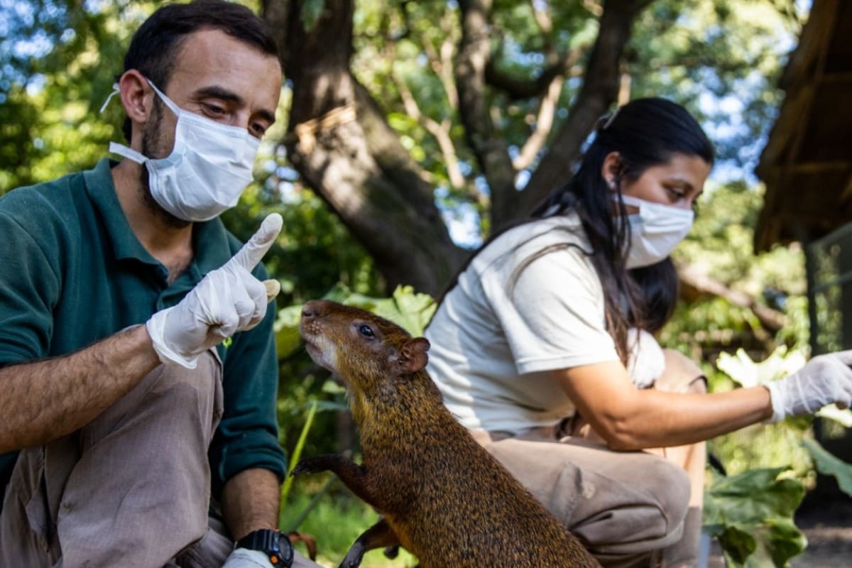 Los cuidados en el Ecoparque continúan a pesar de las medidas de aislamiento por el coronavirus