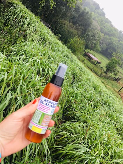 Los cuidados que hay que tener con el uso de la citronela para ahuyentar los mosquitos