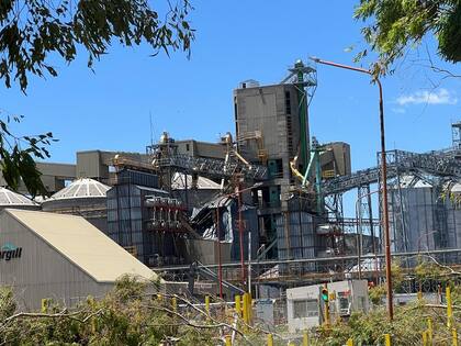 Los daños en las terminales del puerto de Bahía Blanca