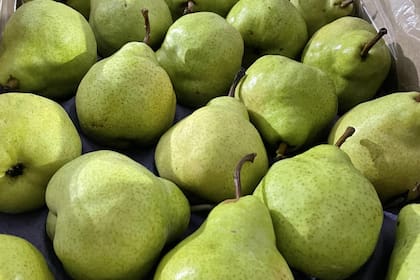 Los datos duros indican que esa ecorregión –caracterizada desde siempre por la excelencia de sus frutales de pepita, principalmente peras y manzanas– perdió en los últimos diez años más del 40% de la superficie de esas frutas: había 55.000 hectáreas productivas y hoy el valle tiene unas 32.000 hectáreas