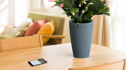 Los datos recolectados por la maceta Parrot POT permiten realizar diversas recomendaciones sobre el nivel de humedad y luz de la planta