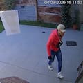 Tres delincuentes entraron a la casa de una jueza, la ataron y le robaron