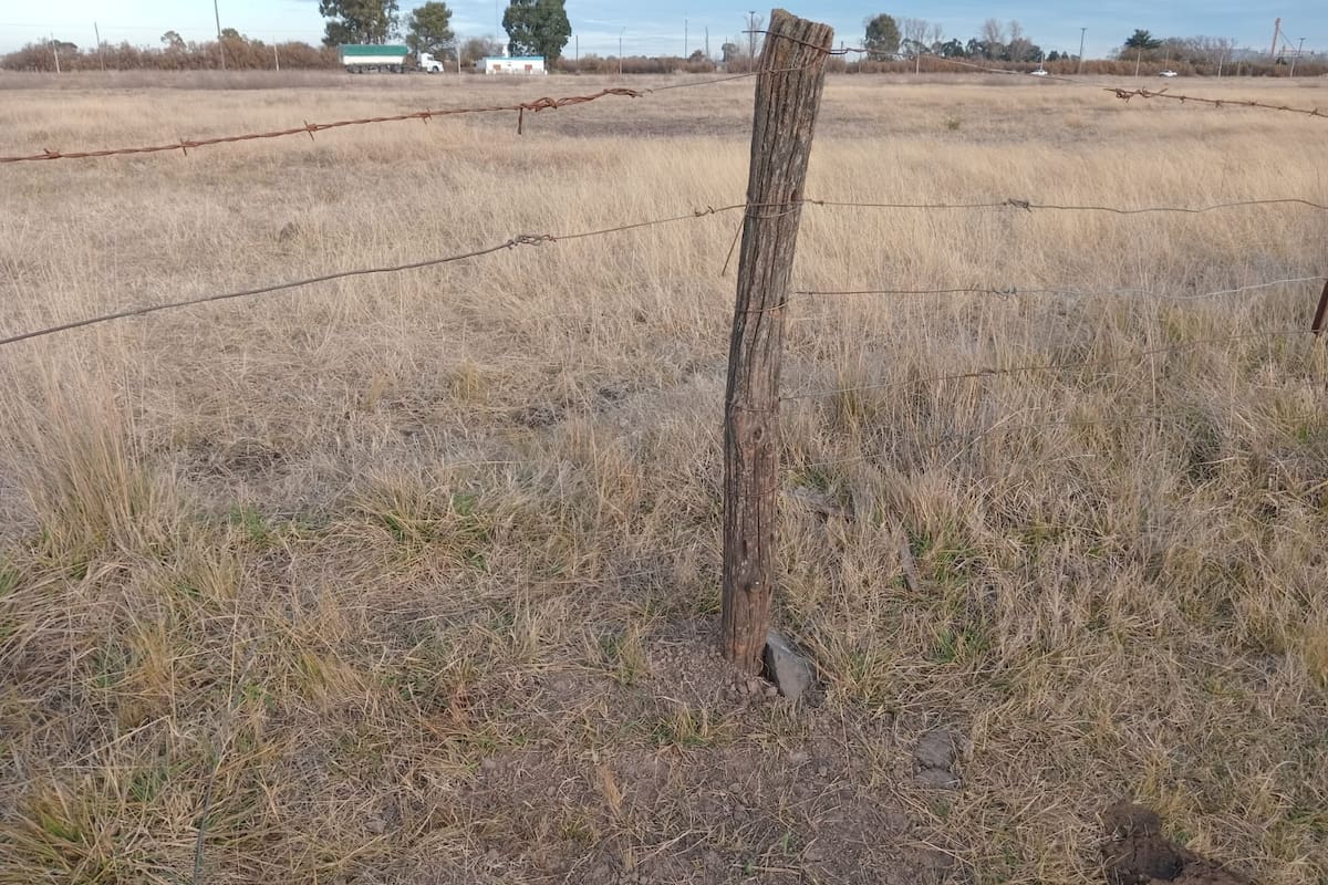 Los delincuentes rompen los alambrados para entrar a los campos