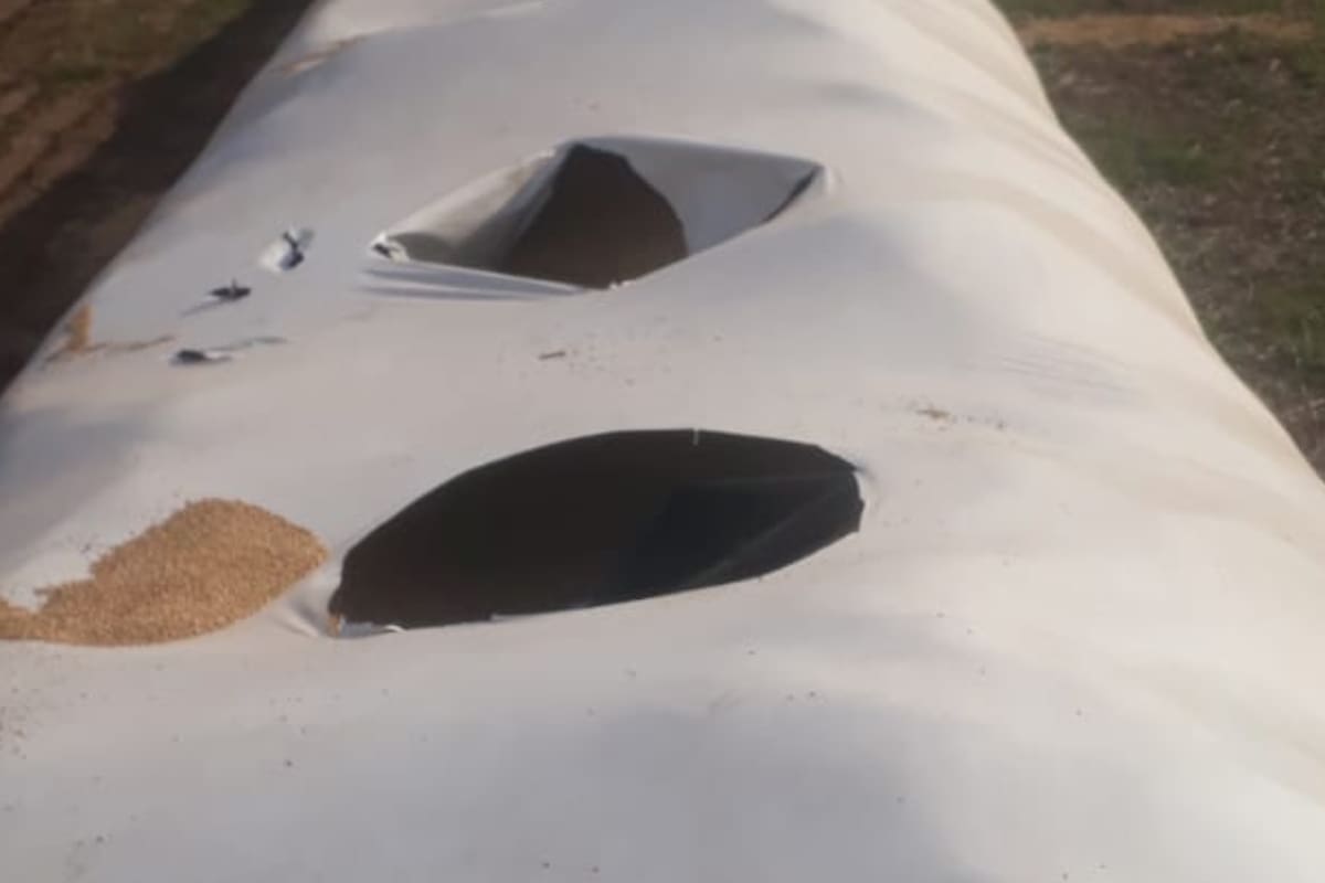 Los delincuentes se llevaron la carga en un camión