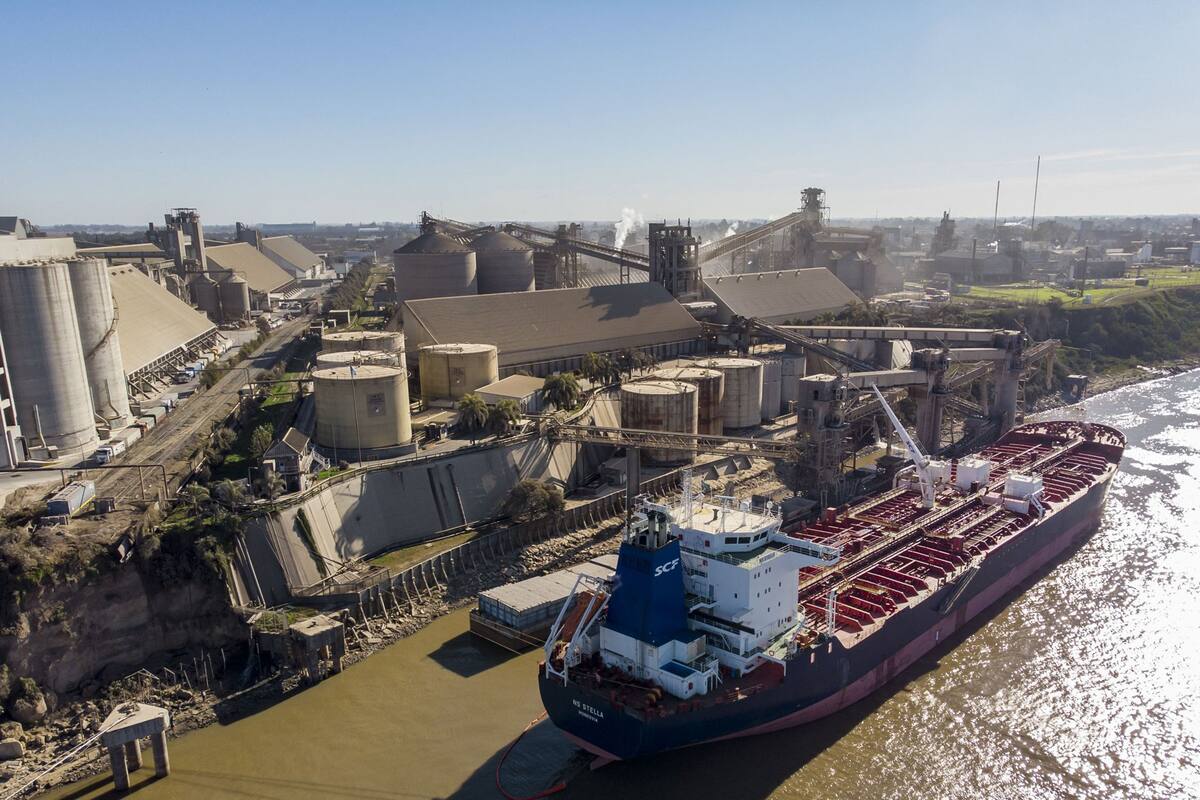 Los derechos de exportación afectan a la producción