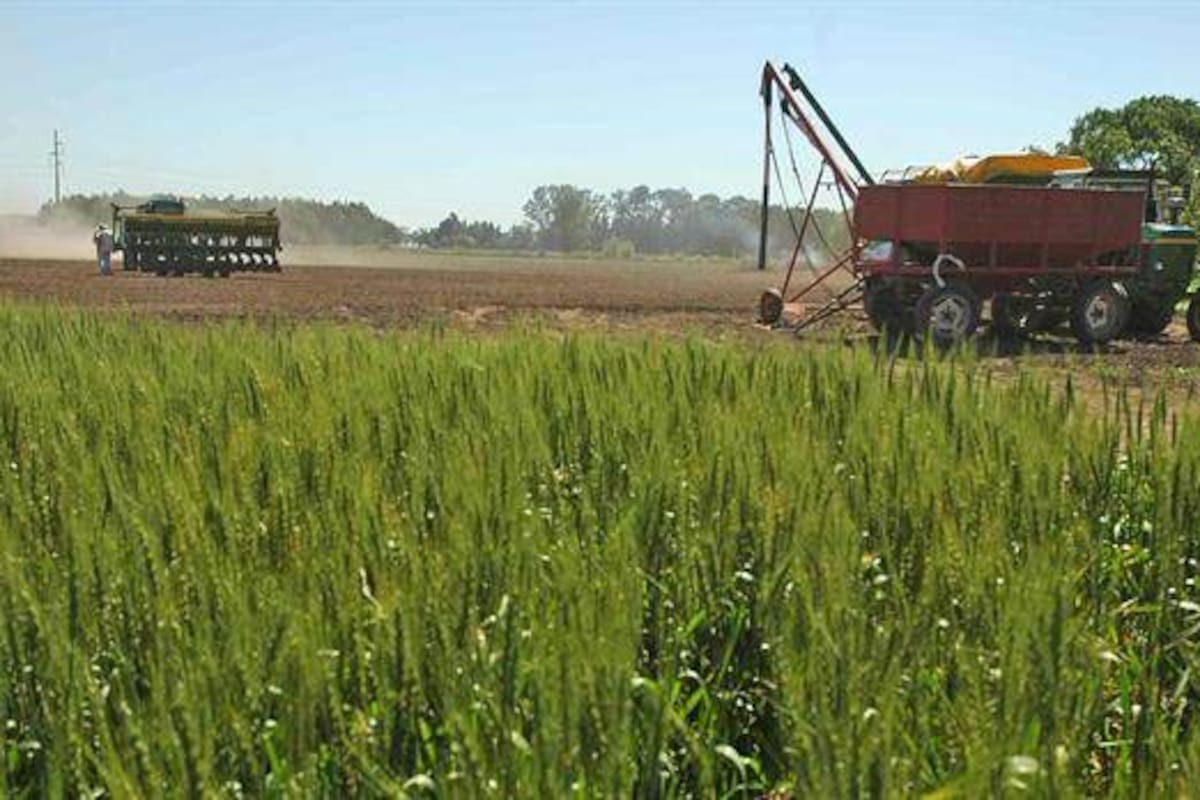 Los desafíos del nuevo ministro de Agroindustria