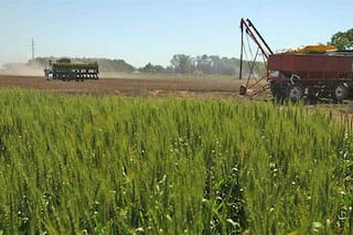 La agroindustria es la solución: por favor, piensen y entiéndanlo