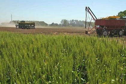 Los desafíos del nuevo ministro de Agroindustria