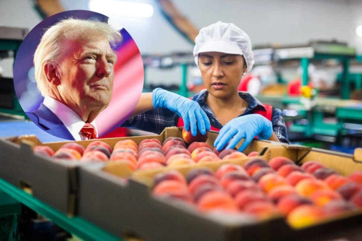 Los desafíos que deberán afrontar los trabajadores extranjeros en EE.UU. durante el segundo mandato de Donald Trump