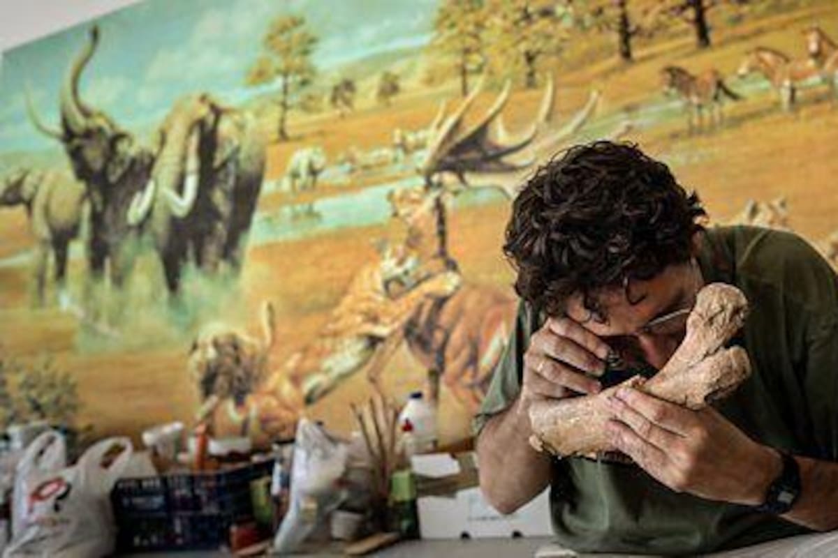 Los descubrimientos de Orce dan pistas sobre el pasado desconocido de Europa