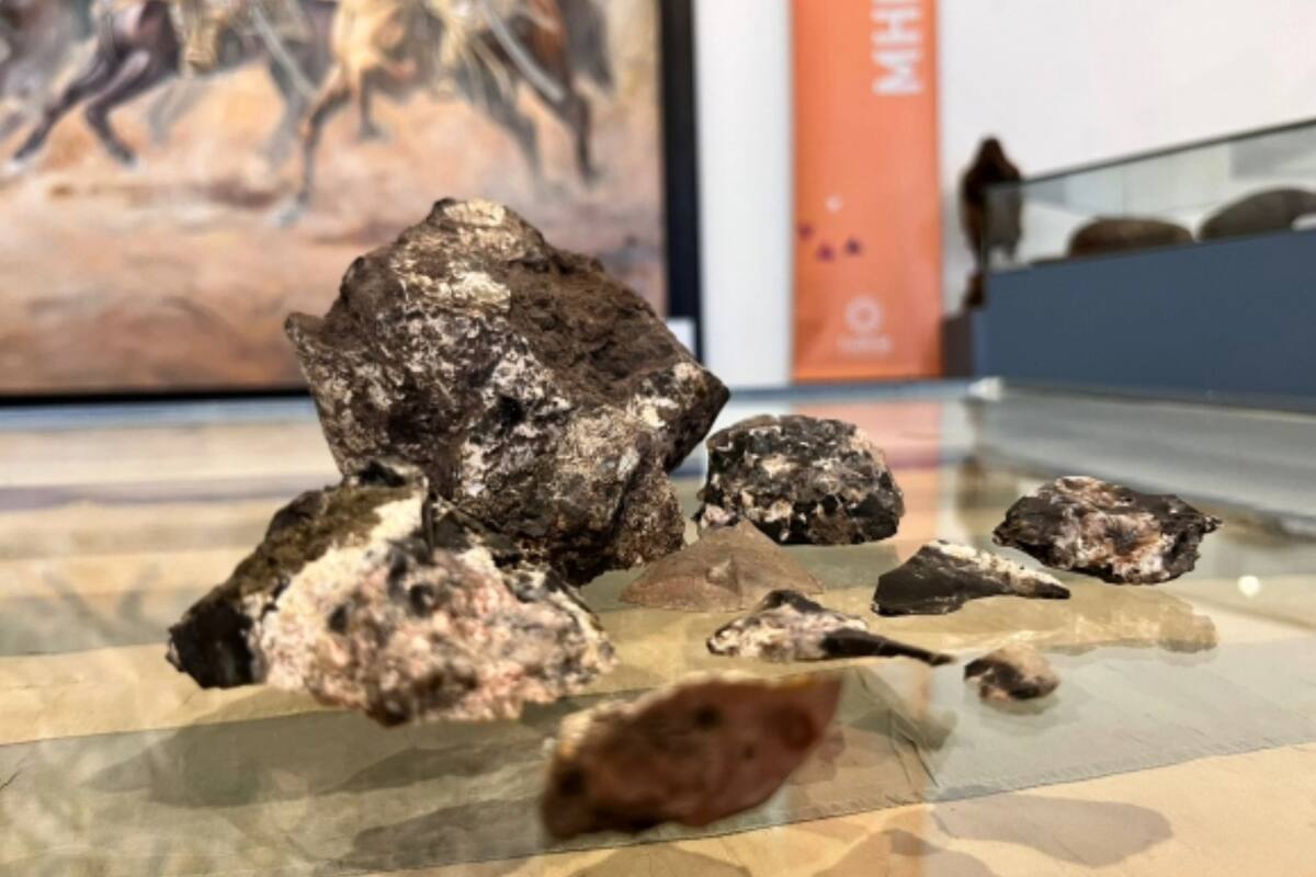 Los descubrimientos se hicieron en la ciudad de Florida, en Uruguay