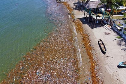 Los desechos sólidos llegan a la costa ubicada en la Bahía de Omoa, en el Mar Caribe, luego de recorrer muchos kilómetros a través del río Motagua, que corresponde en gran parte a Guatemala