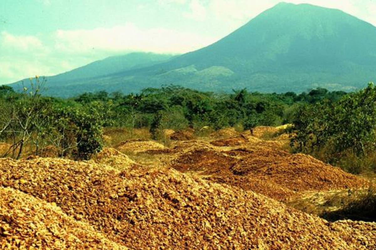 Los desperdicios de naranjas fueron llevados al Área de Conservación de Guanacaste, en más de mil camiones