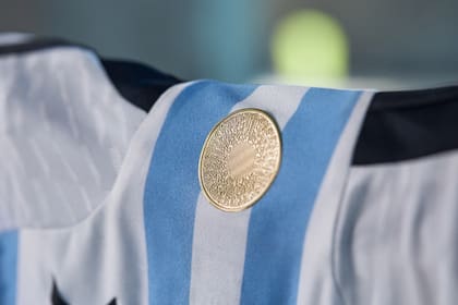 Los detalles de la casaca argentina