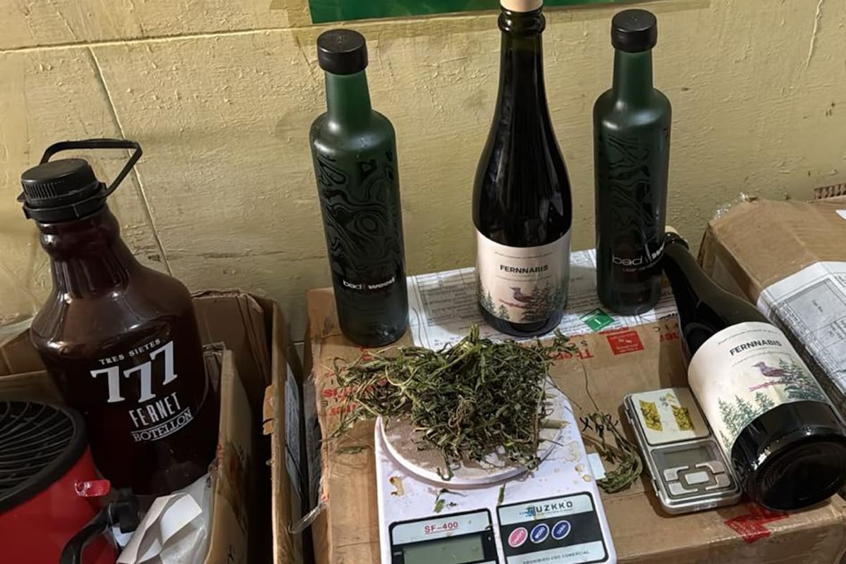 Los detuvieron por fabricar bebidas alcohólicas con cannabis
