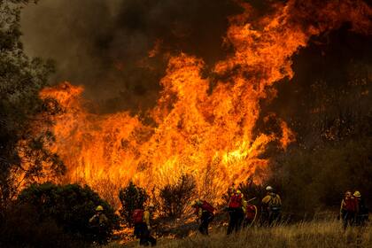 Un grupo de bomberos combate las llamas en la cercanía de la ruta 49, en Moccasin