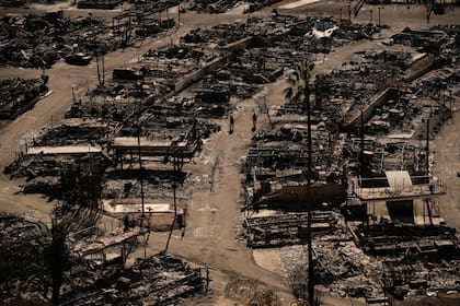 Los devastadores incendios forestales que arrasaron con Los Ángeles dejaron una estela de destrucción y desolación, afectando a miles de familias y dañando severamente los recursos naturales de la región (AP Foto/John Locher)