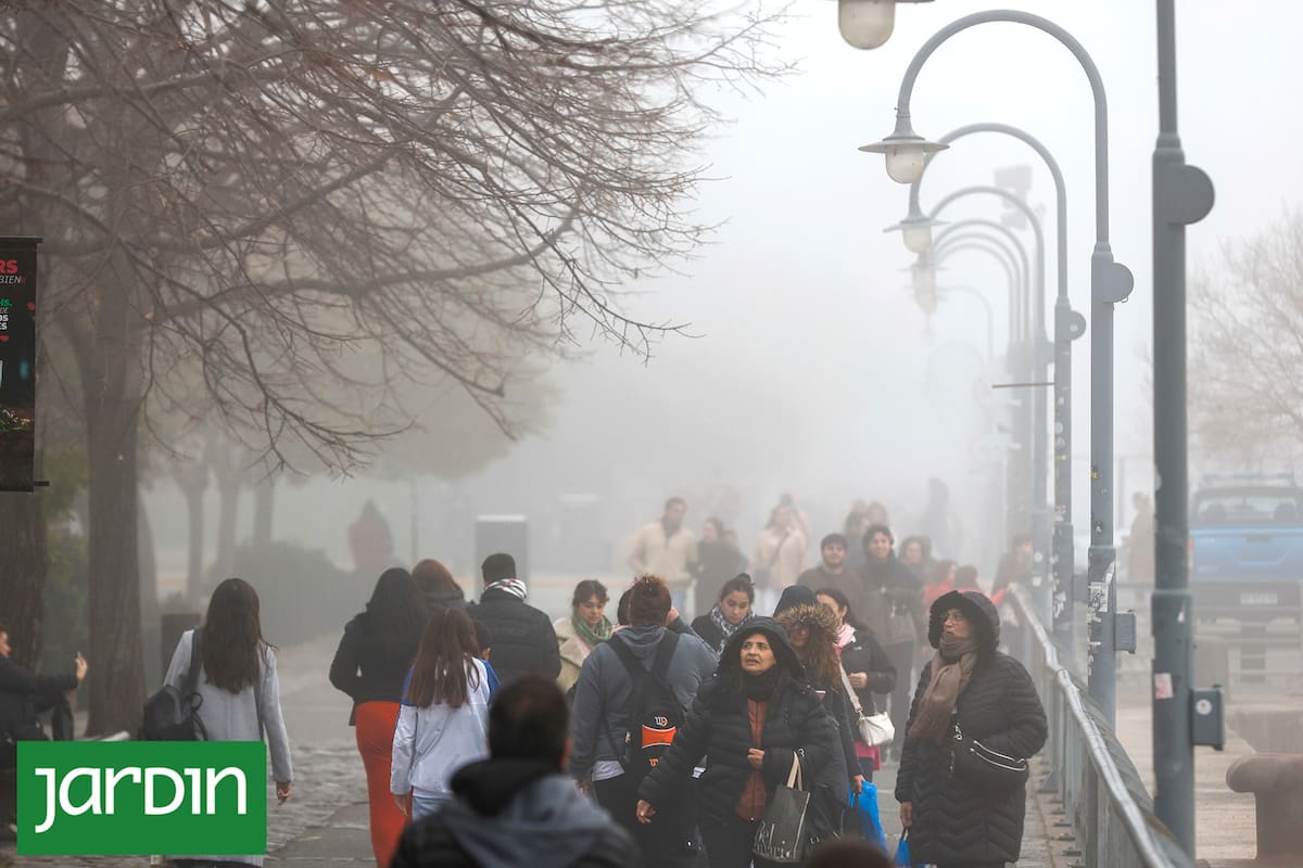 Los días cálidos fuera de temporada, las olas de frío cada vez más erráticas y otros fenómenos revelan una transformación silenciosa
