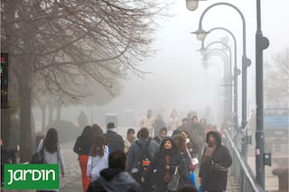 Hay algo que ya no encaja en el invierno y cada año se nota más