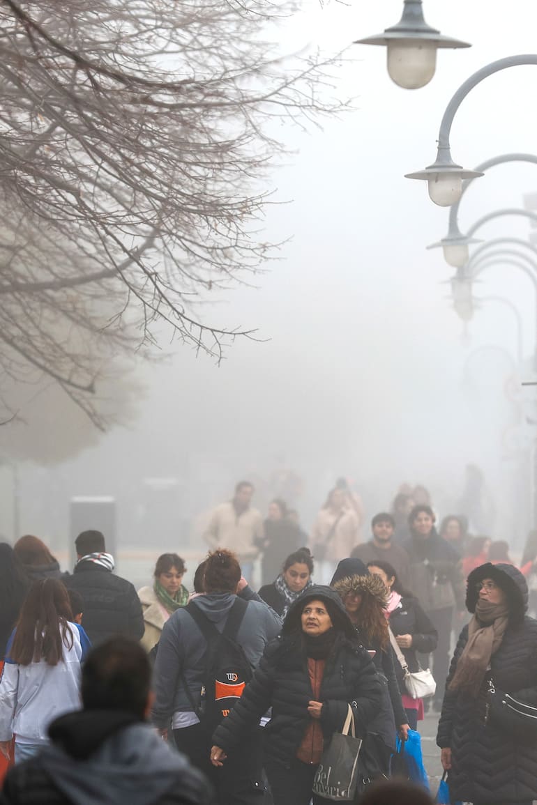Los días cálidos fuera de temporada, las olas de frío cada vez más erráticas y otros fenómenos revelan una transformación silenciosa