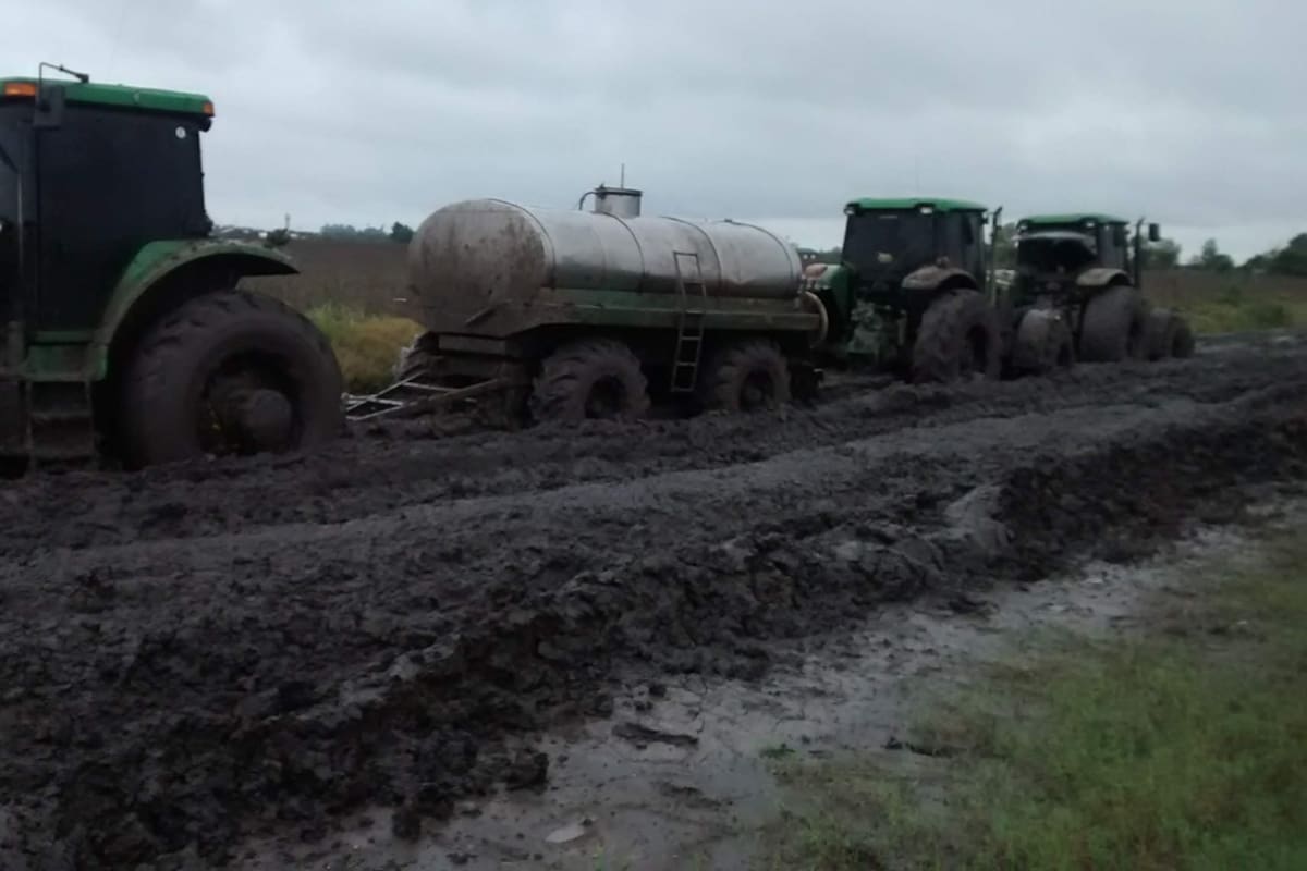 “Los días de mucha lluvia son aun más complicados, tenemos que sacar la producción en cuatro tractores hasta el lugar donde el camión pudo llegar y ahí transbordar los miles de litros de leche del tambo. Pero el transitarlo con tractores perjudica aun más el estado del camino”, relató Brandi