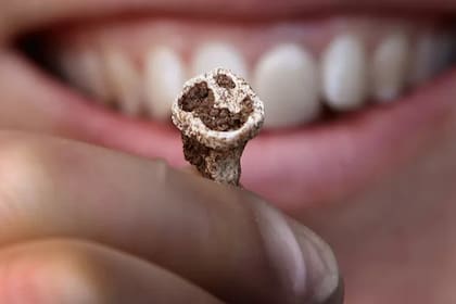 Los dientes de los vikingos fueron clave para poder acceder a su ADN