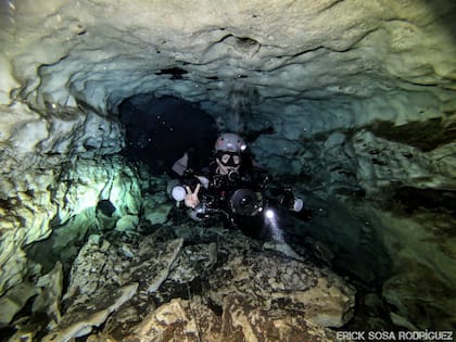 Los dientes del megalodón hallados en la cueva datan de hace aproximadamente 5 a 2.5 millones de años y han resultado clave para investigar las causas de la extinción del animal