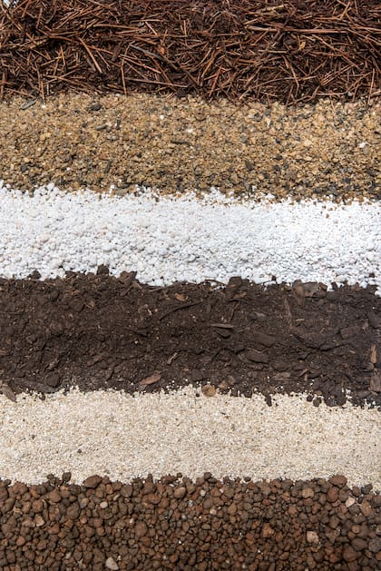 Los diferentes sustratos que forman el suelo ejercen una influencia sobre las plantas