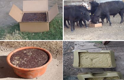 Los diferentes tipos de envases que se usan