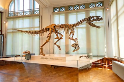 Los dinosaurios, así como otros reptiles, pueden haberse originado en Gondwana (imagen ilustrativa)