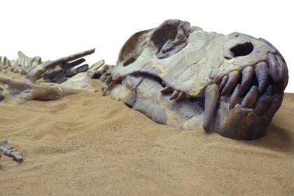 Los dinosaurios murieron hace cerca de 66 millones de años