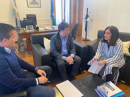 Los diputados Agustín Forchieri, Maricel Etchecoin y Diego Garciarena firmaron un proyecto de ley de boleta Unica de sufragio