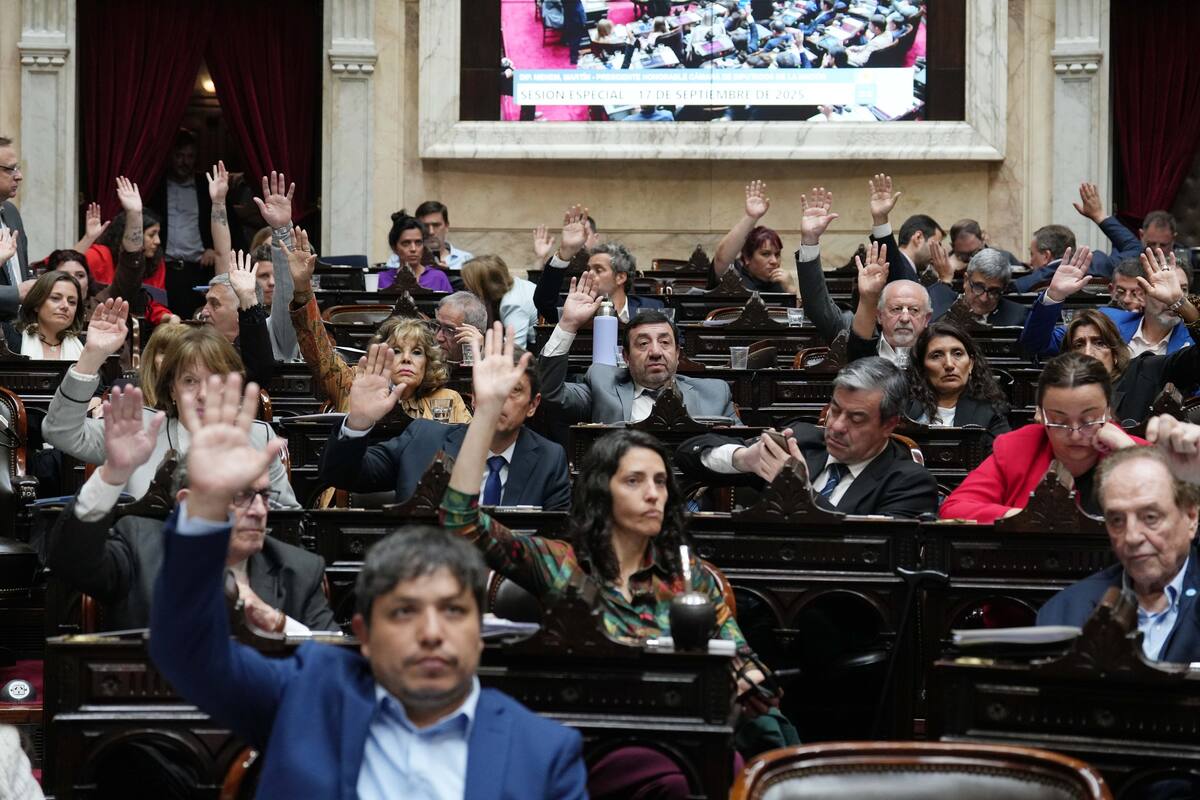 Los diputados aprobaron, a mano alzada, la creación de una comisión investigadora sobre el fentanilo contaminado