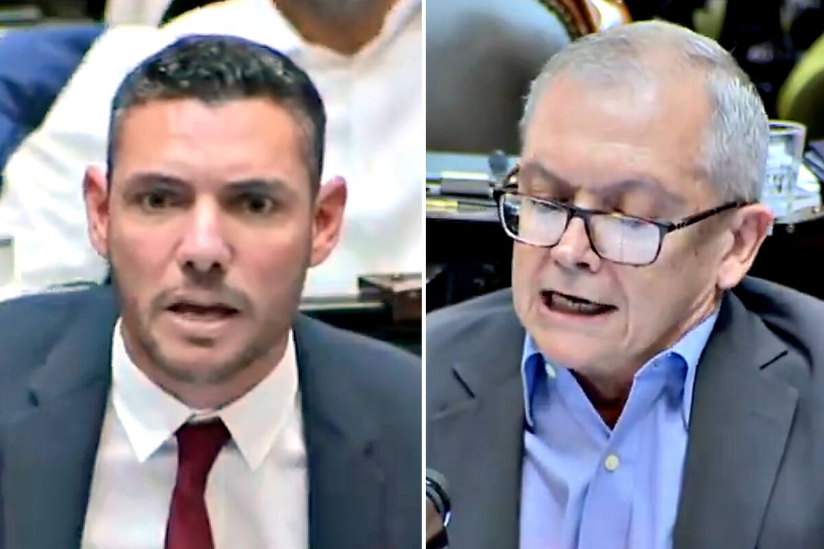 Los diputados Arabia y Pedrini