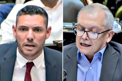 Los diputados Arabia y Pedrini