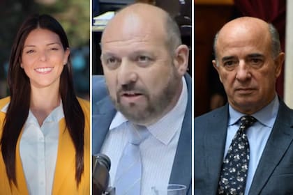 Los diputados de La Libertad Avanza, Emilia Orozco, Carlos D’Alessandro y Beltrán Benedit