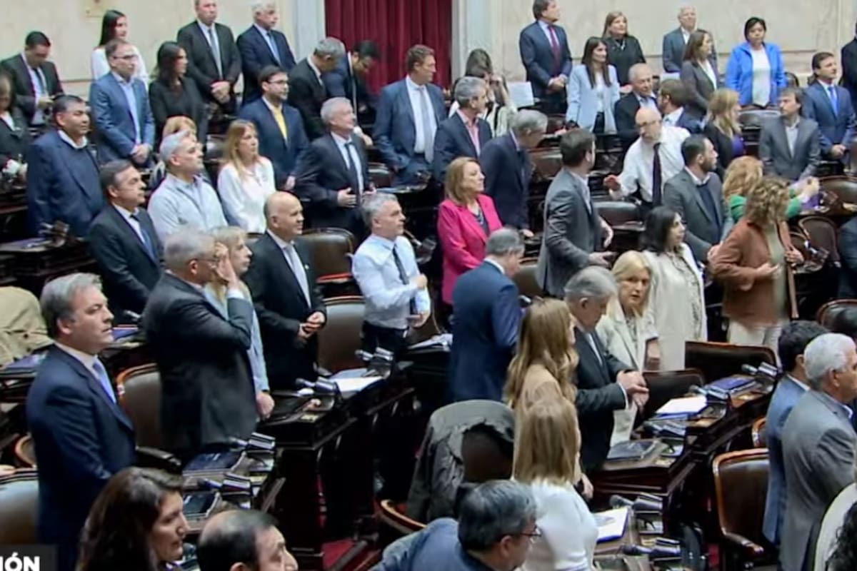 Los diputados en el Congreso para tratar el veto a las jubilaciones