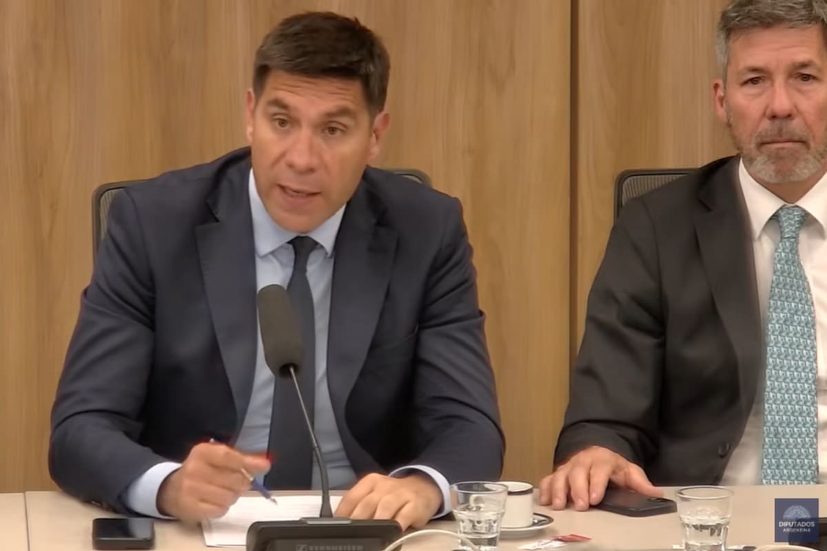 Los diputados Facundo Correa Llano y Martin Ardohain durante la sesión