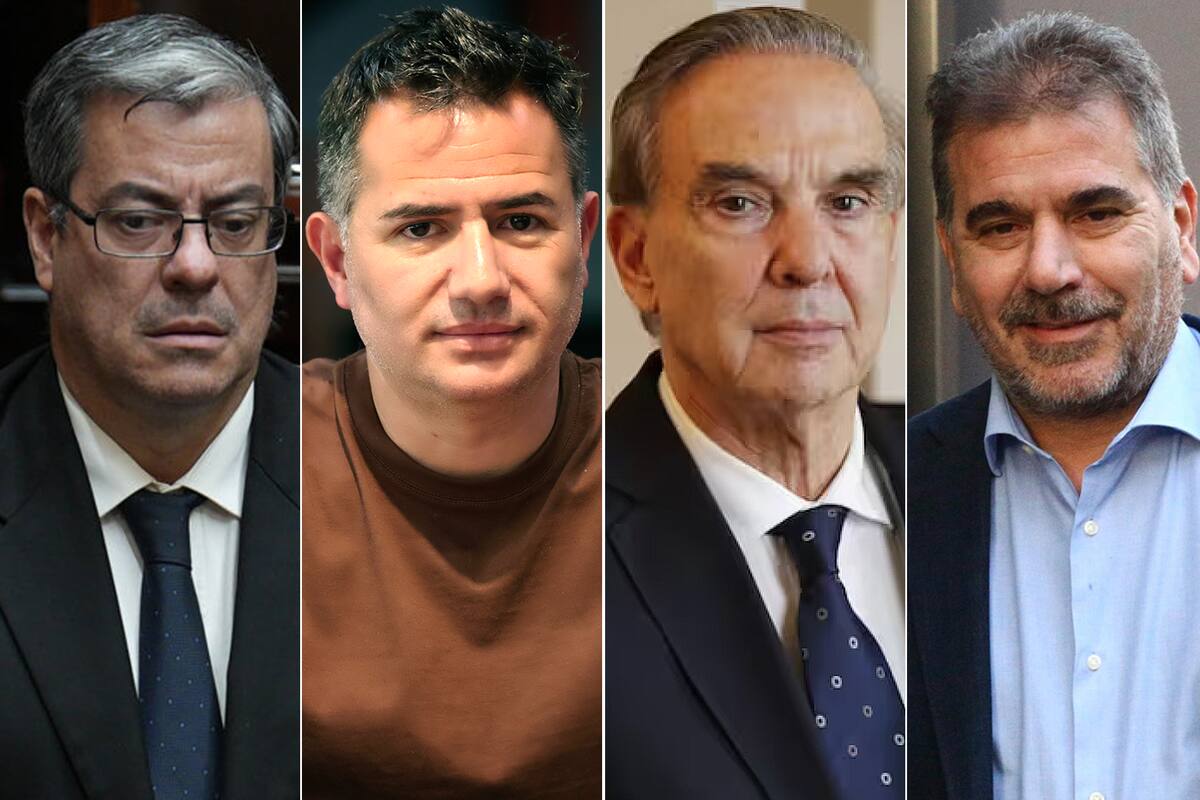 Los diputados Germán Martínez (Unión por la Patria), Gabriel Bornoroni (La Libertad Avanza), Miguel Ángel Pichetto (Encuentro Federal) y Cristian Ritondo (Pro)