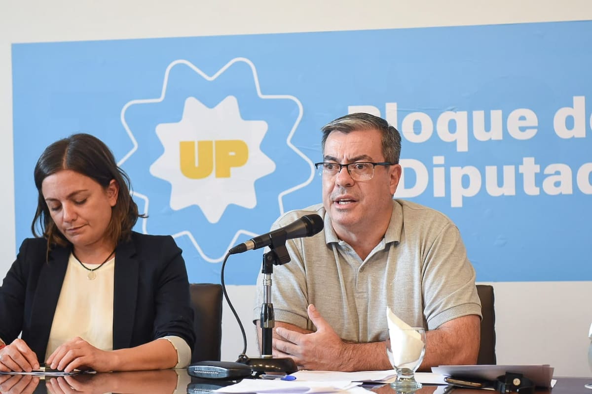 Los diputados Germán Martínez y Vanesa Siley, de Unión por la Patria