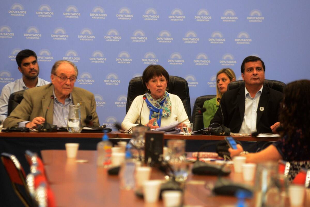 Los diputados Heller, Osuna y Casaretto en el plenario de las comisiones de Presupuesto y Educación