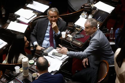 Los diputados libertarios Mayoraz y Benegas Lynch en sus bancas