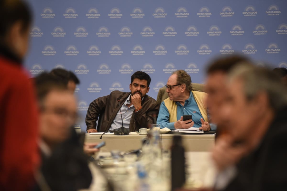 Los diputados Lucas Godoy y Carlos Heller, presidentes de las comisiones de Legislación General y Presupuesto