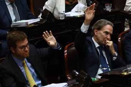Los diputados Massot y Pichetto votaron a favor de la ley ómnibus