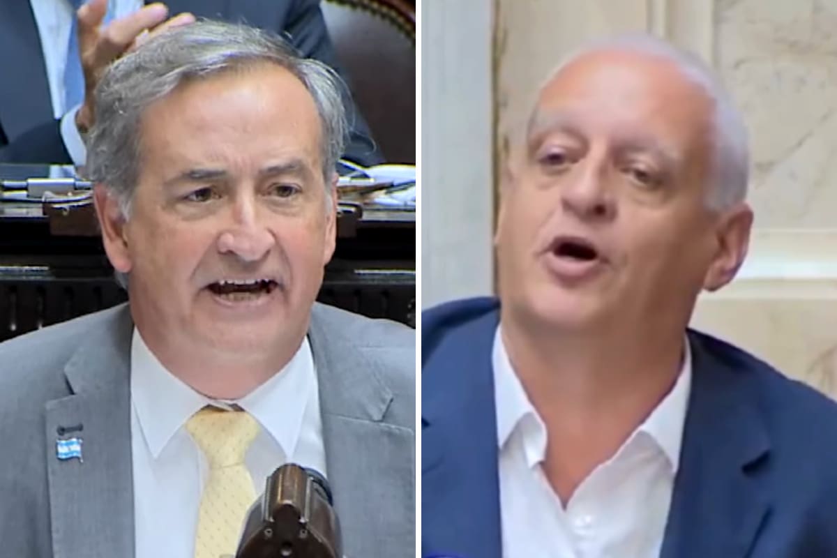 Los diputados nacionales Nicolás Mayoraz y Horacio Pietragalla