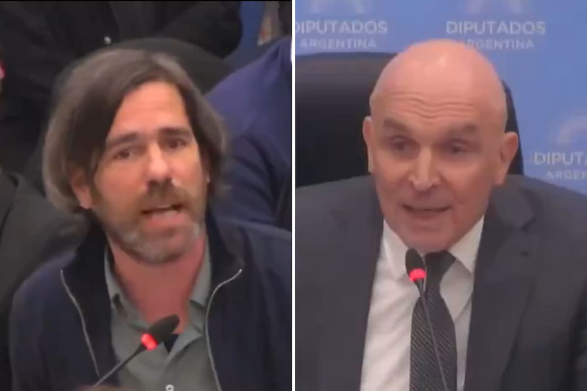 Los diputados Nicolás del Caño y José Luis Espert