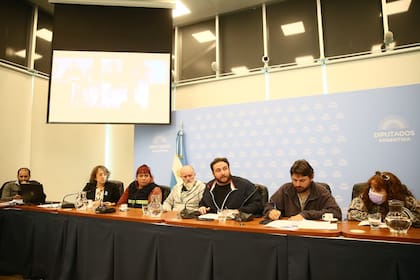 Los diputados oficialistas presentaron el proyecto de ley en Diputados para intervenir el Poder Judicial de Jujuy