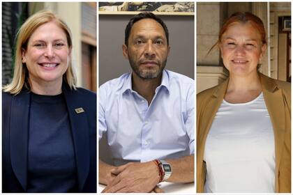 Los diputados opositores Gisela Scaglia, Maximiliano Ferraro y Karina Banfi también impulsan iniciativas sobre la ficha limpia